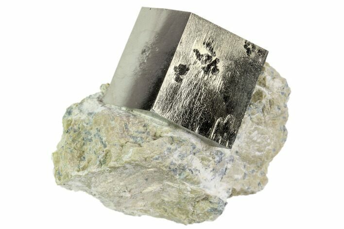 Pyrite Cube In Rock - Navajun, Spain #105399